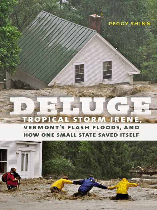 Title details for Deluge by Peggy Shinn - Available
